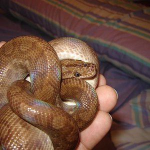 DSC04139 (Small).JPG