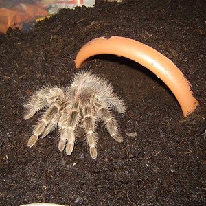 DSC04369 (Small).JPG