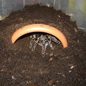 DSC04367 (Small).JPG