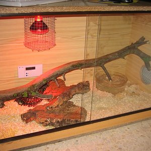 Imagen 007 (Medium).jpg