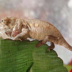 MONTA 16.03.2006 066.jpg