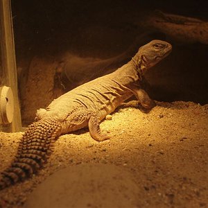 picture 005 (Medium).jpg