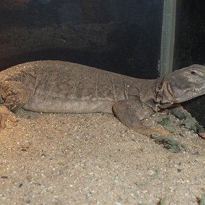 picture 012 (Medium).jpg