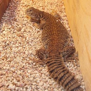 picture 024 (Medium).jpg