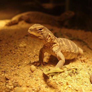 picture 010 (Medium).jpg