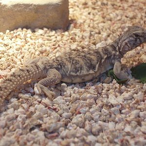 picture 023 (Small).jpg