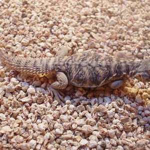 picture 017 (Medium).jpg