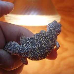 picture 015 (Medium).jpg