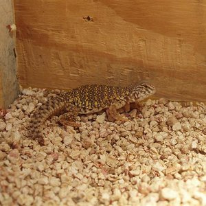 picture 019 (Medium).jpg