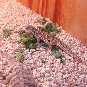 picture 025 (Medium).jpg