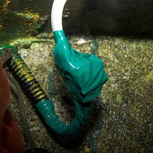 Cables aislados2.JPG