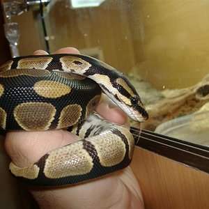 DSCF1926 (Small).JPG