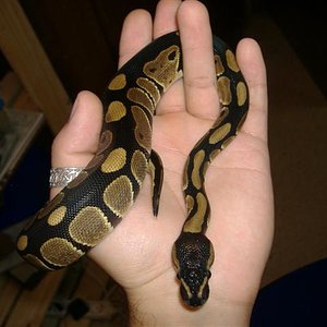 DSCF1930 (Small).JPG