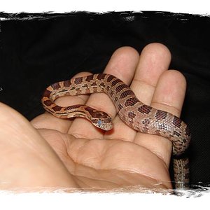 DSC04681 (Small) 1.jpg