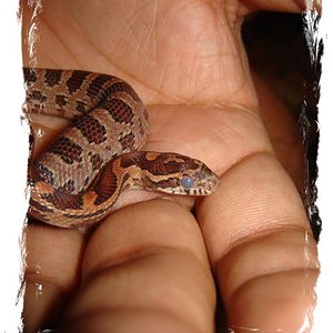 DSC04693 (Small) 1.jpg