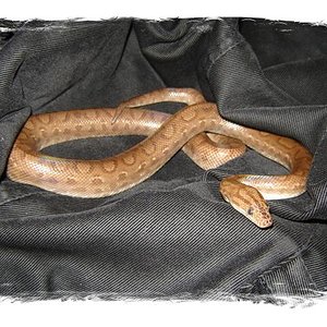 DSC04716 (Small) 1.jpg