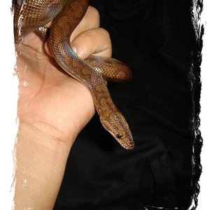 DSC04780 (Small) 1.jpg