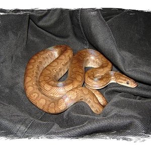 DSC04797 (Small) 1.jpg