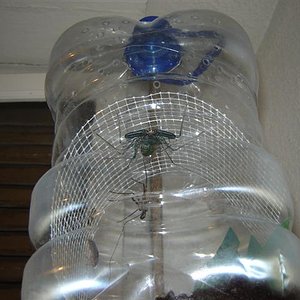 DSC04924 (Small).JPG