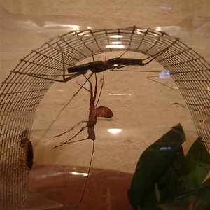 DSC04928 (Small).JPG