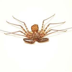 DSC04944 (Small).JPG