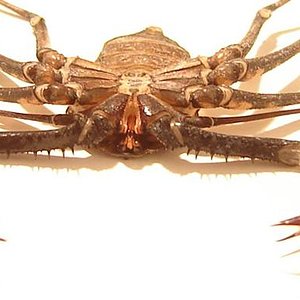 DSC049491 (Small).JPG