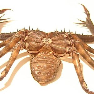 DSC049501 (Small).JPG