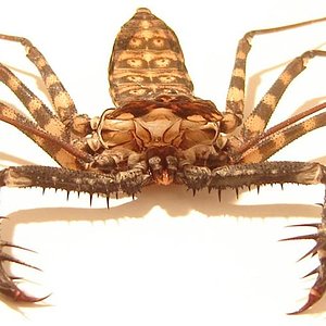 DSC049521 (Small).JPG