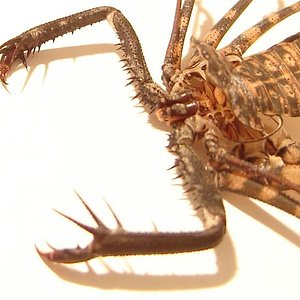 DSC049541 (Small).JPG