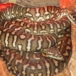 Imagen 010 (Medium).jpg