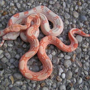 PICT0023 (Small).JPG