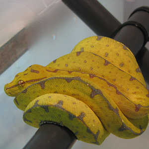 Resized 25-10-06 023.jpg