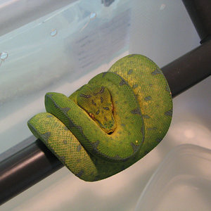 Resized 05-11-06 002.jpg