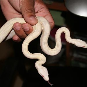 snowsteve (Small).jpg