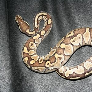 IMG_0213 (Small).JPG