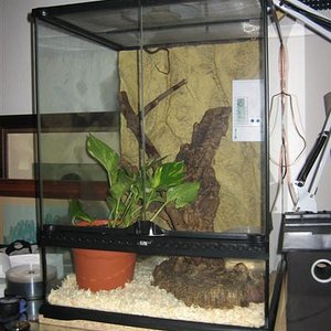 Imagen 023 (Medium).jpg