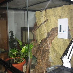 Imagen 024 (Medium).jpg