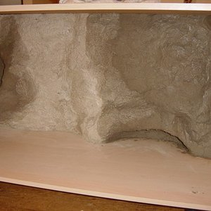 ese terrario 010.jpg