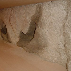 ese terrario 003.jpg