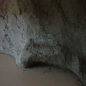 ese terrario 001.jpg