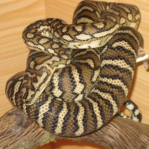 Imagen 027 (Large).jpg