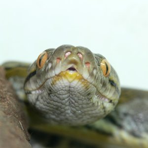 CORDERO 002_renamed_22826.jpg