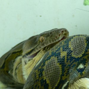 CORDERO 004_renamed_5557.jpg