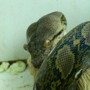 CORDERO 005_renamed_27620.jpg