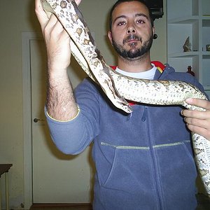 hembra noviembre 06.jpg