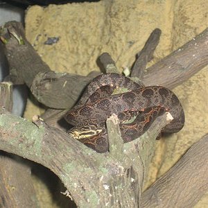 Imagen 052 (Large).jpg