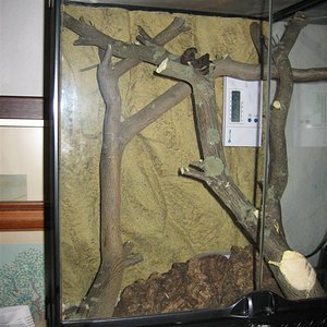 Imagen 054 (Large).jpg