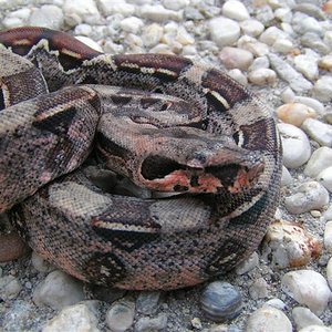 aug 06 1 (Small).JPG