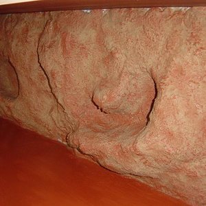 terrario pintado.jpg