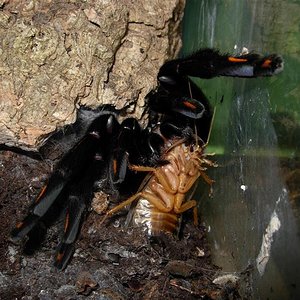 4-12-06 (2) (Custom).JPG